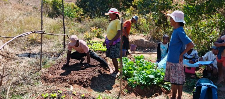 Le Jardin potager communautaire avec le projet VAHATRA